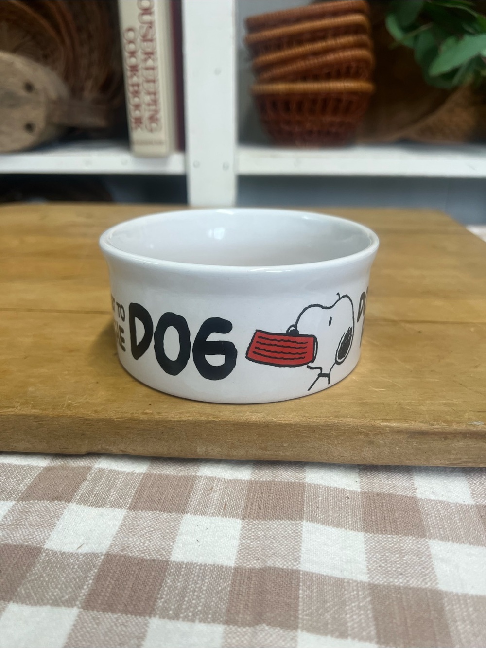 Dog bowl peanuts ceramic snoopy